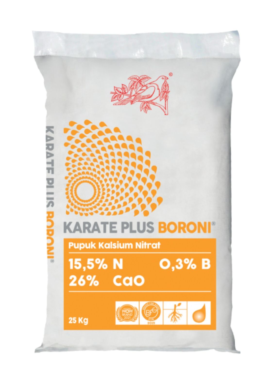 KARATE PLUS BORONI